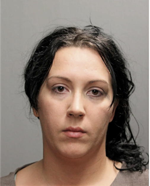 DANIELLE M CICCOLI, Cook County, Illinois