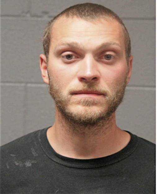 ALLEN D COGSWELL, Cook County, Illinois