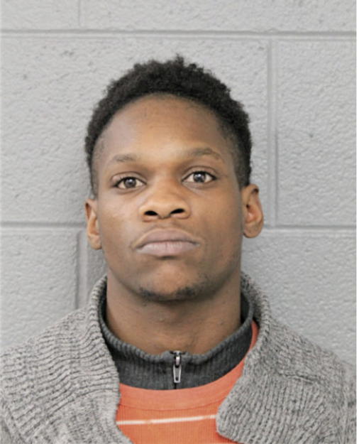 DAVID A COOPER, Cook County, Illinois