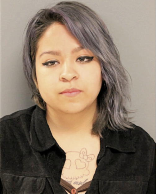 REYNA CORREA, Cook County, Illinois