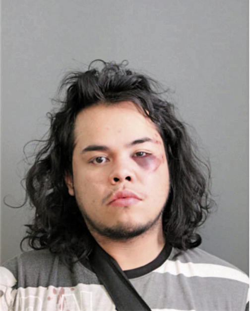 CARLOS E CRUZ, Cook County, Illinois