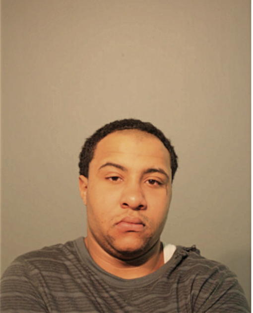 MICHAEL A ERICKSEN, Cook County, Illinois