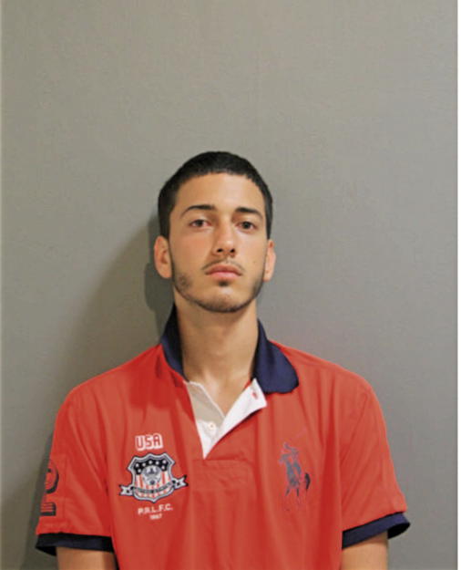 NICHOLAS A FRANC, Cook County, Illinois