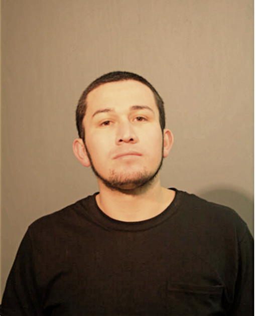 ALFONSO GARCIA-HERREJON, Cook County, Illinois