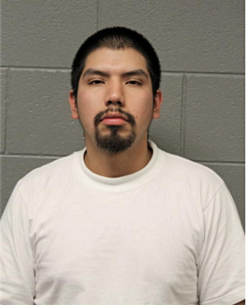 STEVEN GARCIA, Cook County, Illinois