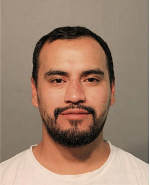 SALVADOR N GONZALEZ, Cook County, Illinois