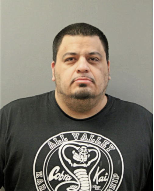DANIEL S GUEDES, Cook County, Illinois