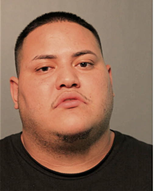 MARIO GUERRERO, Cook County, Illinois