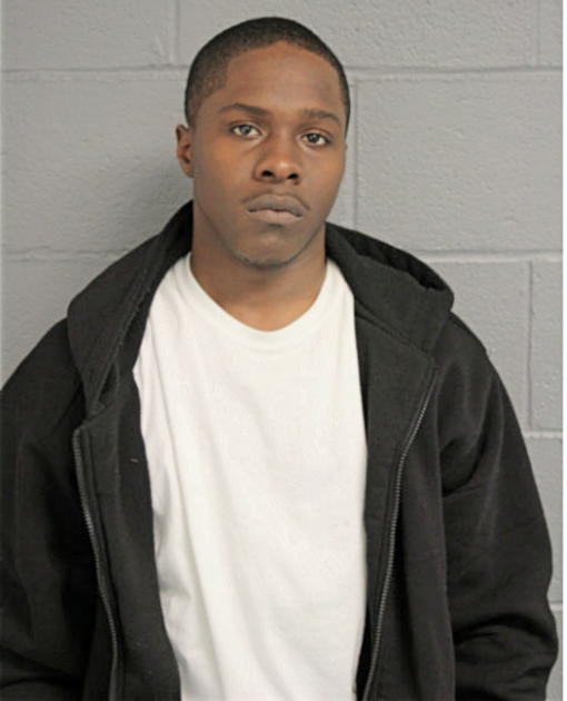 CYRUS S HALMON, Cook County, Illinois