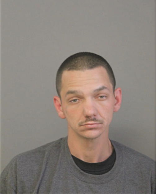 BRIAN J HAMILTON, Cook County, Illinois