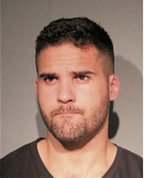 MATTHEW J HOFFMAN, Cook County, Illinois