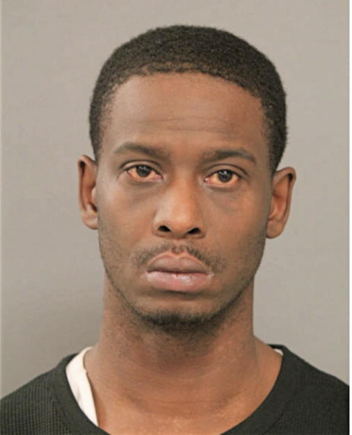 TERRELL L JOHNSON, Cook County, Illinois