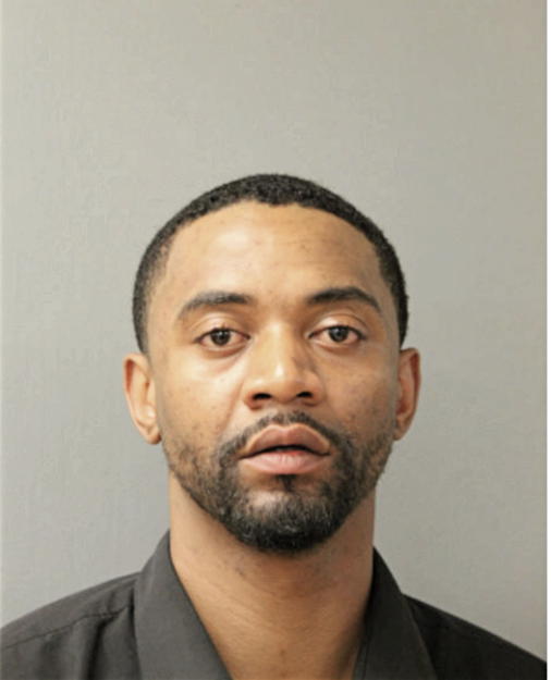 MICHAEL L JONES, Cook County, Illinois