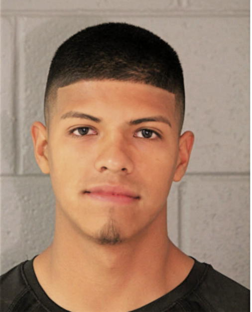 BRAYAN A LEDEZMA, Cook County, Illinois