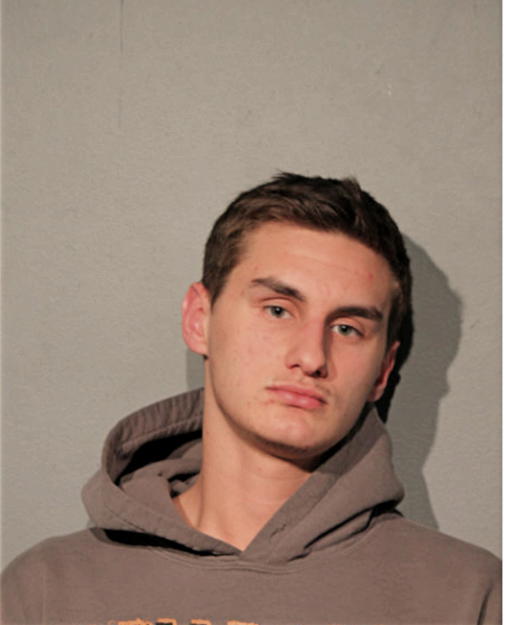 ALEKSEI STEFAN LEWIS, Cook County, Illinois