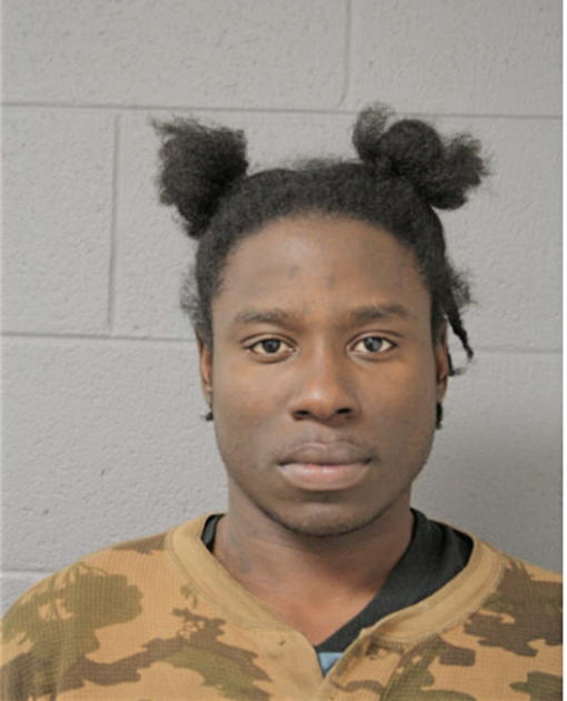 DARNELL M LOFTON, Cook County, Illinois