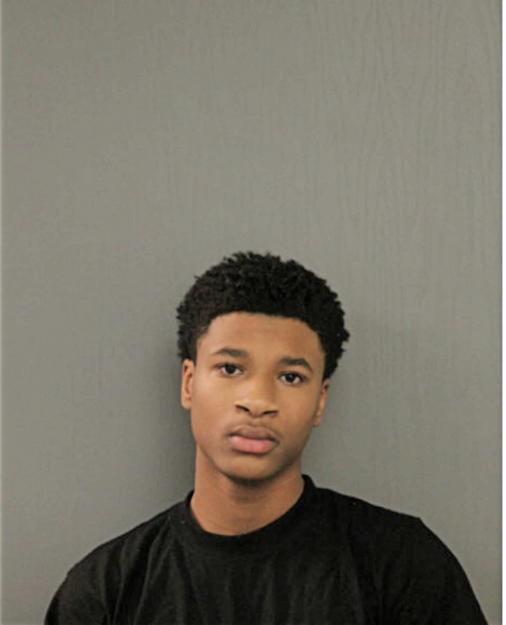 MICHAEL W MATTHEWS, Cook County, Illinois
