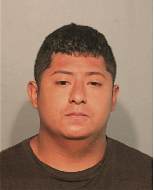JESUS ALBERTO MENDOZA, Cook County, Illinois