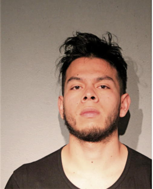 ERICK J ORNELAS, Cook County, Illinois