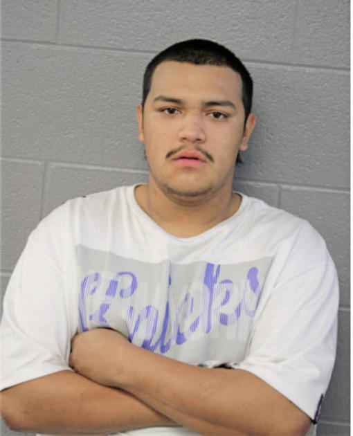 SAMUEL N PEREZ, Cook County, Illinois