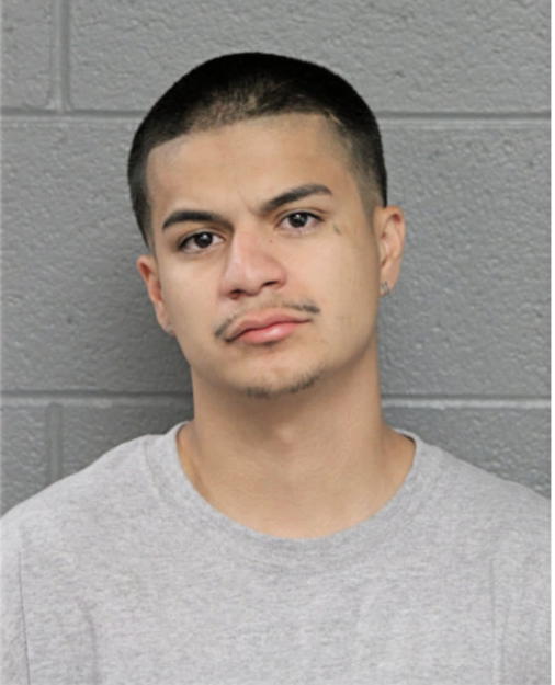 RAFAEL M RANGEL, Cook County, Illinois