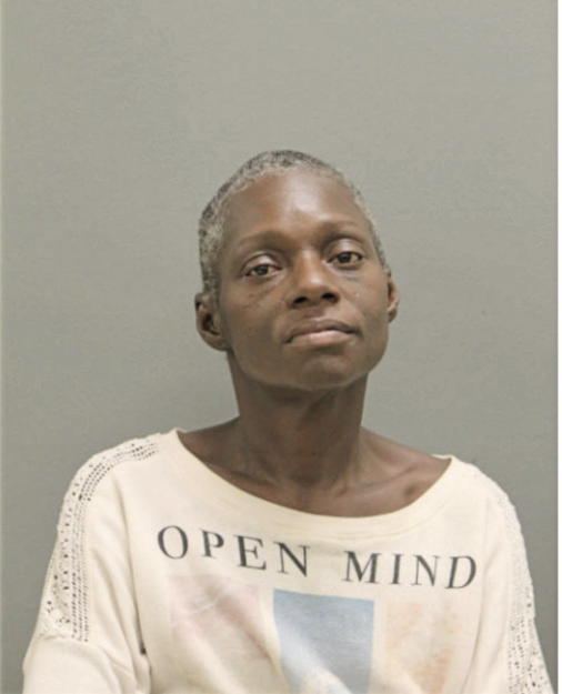 KAREN E ROBINSON, Cook County, Illinois
