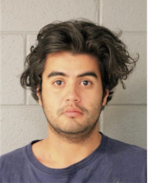 DARIO R RODRIGUEZ, Cook County, Illinois
