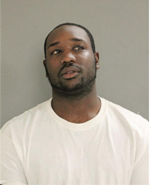 RAYSHON J SULLIVAN, Cook County, Illinois