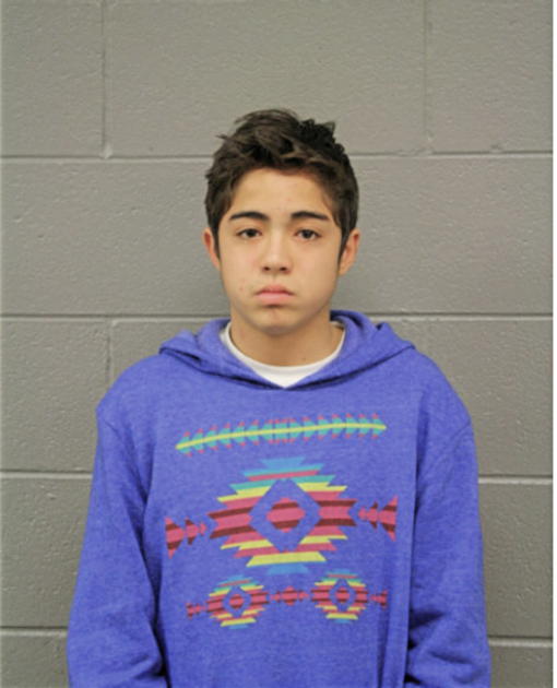 PEDRO TAHARA-SALGADO, Cook County, Illinois