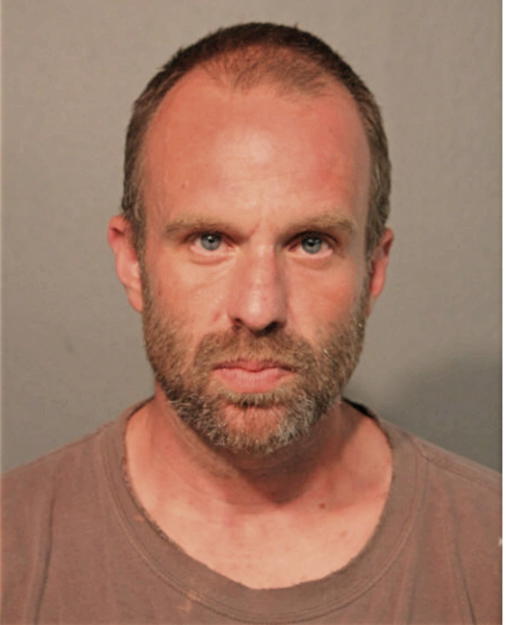 STEVEN M ULMAN, Cook County, Illinois