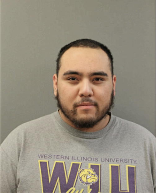 EMMANUEL VENCES-MATTIAS, Cook County, Illinois