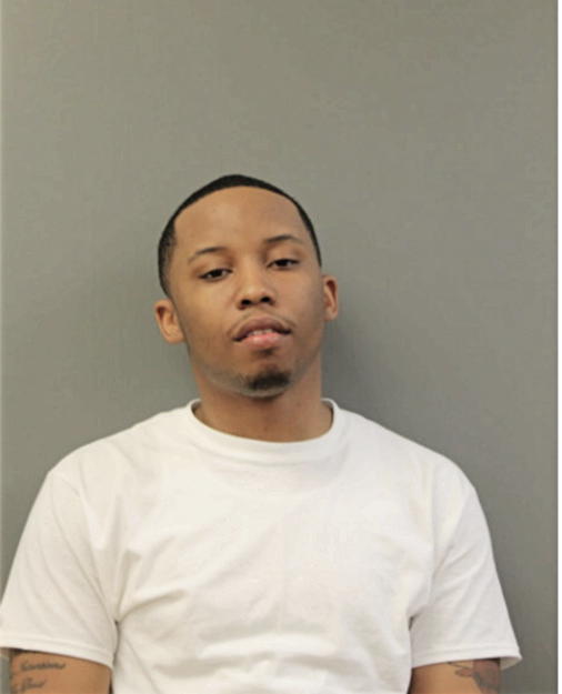 DAJAUVON J WILLIAMS, Cook County, Illinois