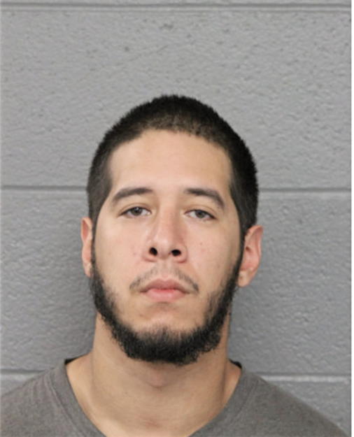 ALEXANDER S ACEVEDO, Cook County, Illinois