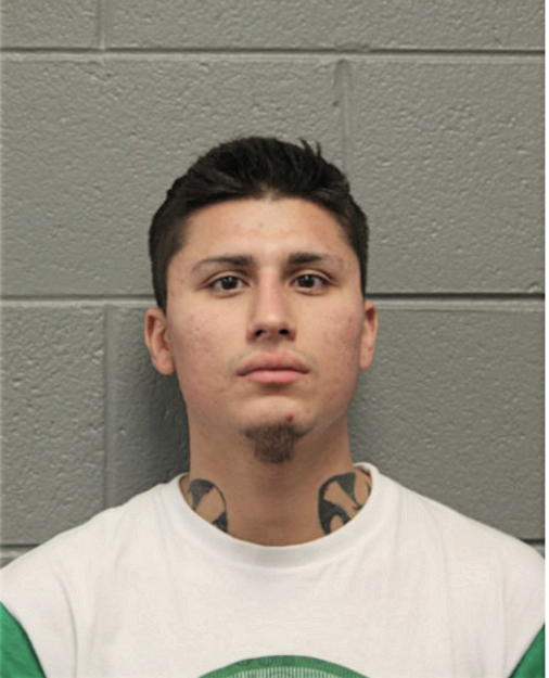 ROBERTO C ALMARAZ, Cook County, Illinois