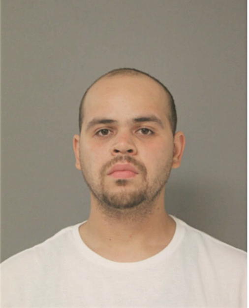 HECTOR M APONTE, Cook County, Illinois