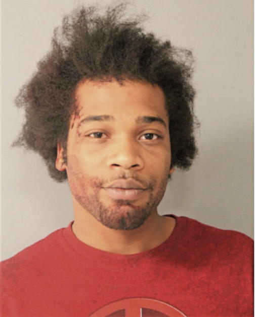 PATRICK J BARNES, Cook County, Illinois