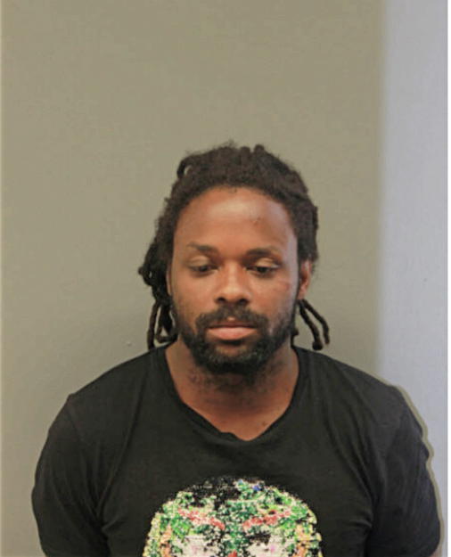 THADDEUS L BROWN, Cook County, Illinois