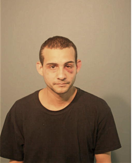CARLOS G COLON, Cook County, Illinois