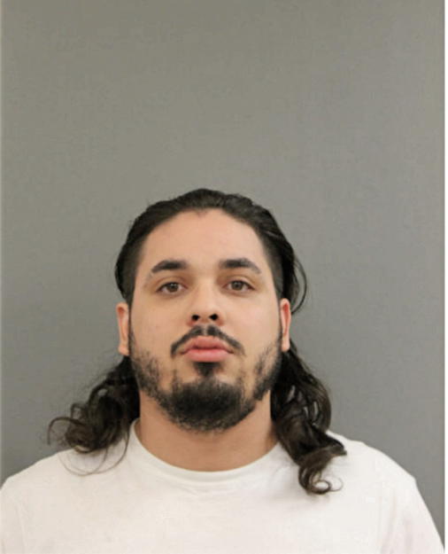 JOHN P DOMINGUEZ, Cook County, Illinois