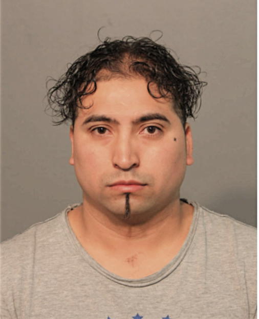 AUGUSTO C ESTRADA PALACIOS, Cook County, Illinois