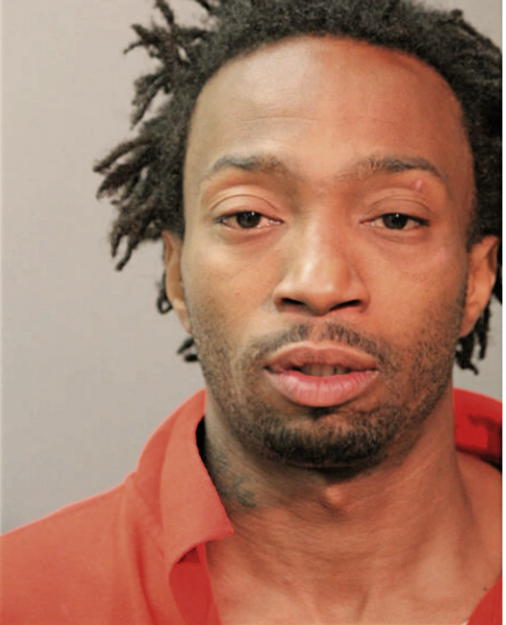 KARLIN J FELTUS, Cook County, Illinois