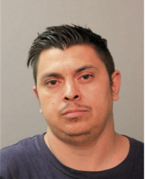 LUIS A GOMEZ-AREVALO, Cook County, Illinois