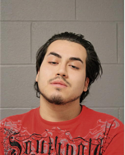 MAURICIO J HUERTA, Cook County, Illinois