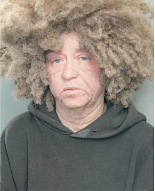 SIMONE J BAIRD, Cook County, Illinois