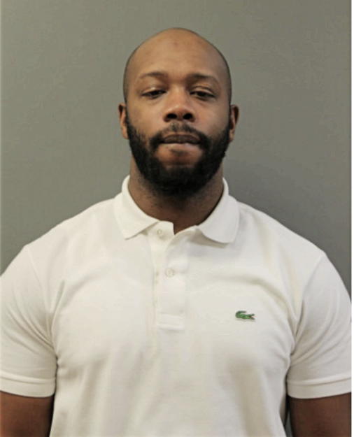 LARRY T JONES, Cook County, Illinois