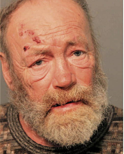 JAN KLUBEK, Cook County, Illinois