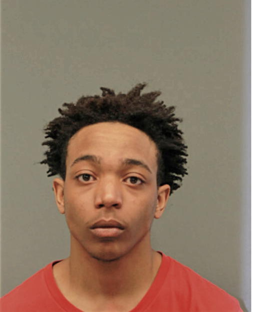 TRISTAN T LOTT, Cook County, Illinois