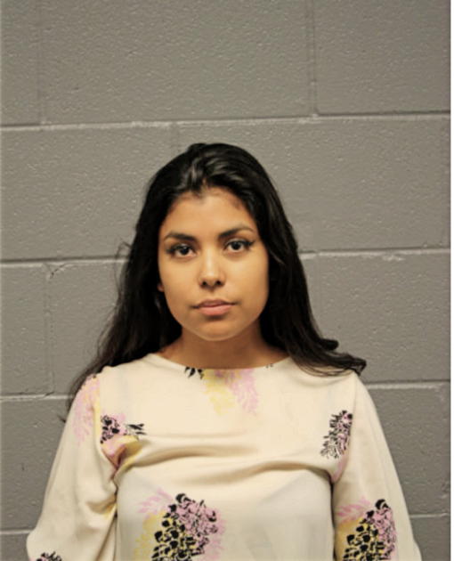ANDREA A MARTINEZ, Cook County, Illinois