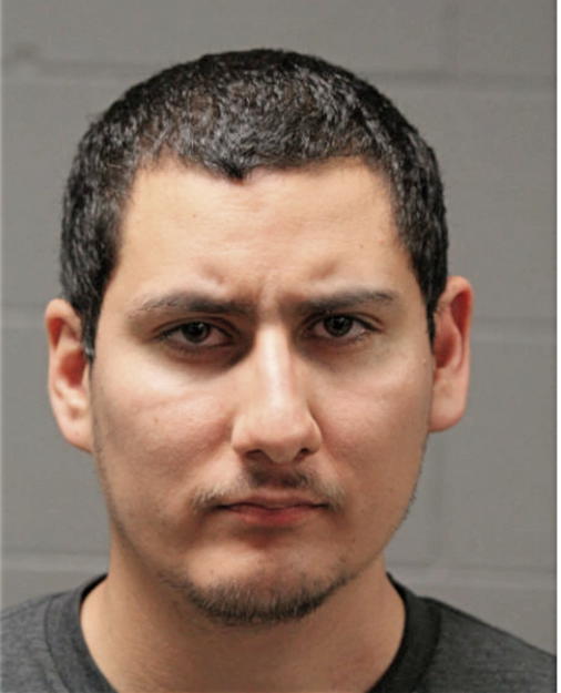 DAVID E MATIENZO, Cook County, Illinois
