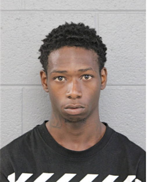 DAVID D MCDANIEL, Cook County, Illinois